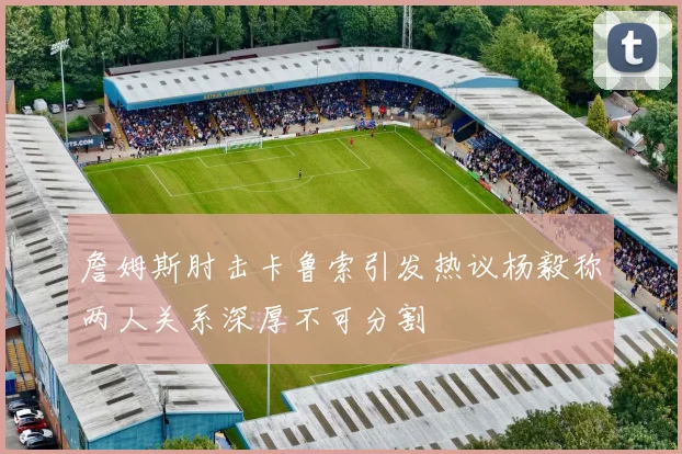 詹姆斯肘击卡鲁索引发热议杨毅称两人关系深厚不可分割